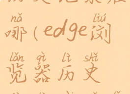 edge浏览器历史记录在哪(edge浏览器历史记录在哪里)