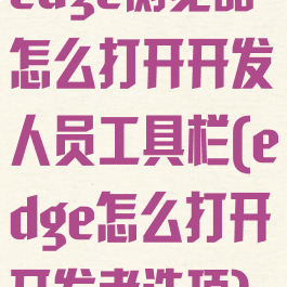 edge浏览器怎么打开开发人员工具栏(edge怎么打开开发者选项)