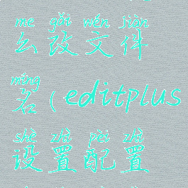 editplus怎么改文件名(editplus设置配置文件目录)