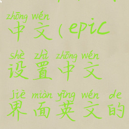 epic平台调中文(epic设置中文界面英文的)