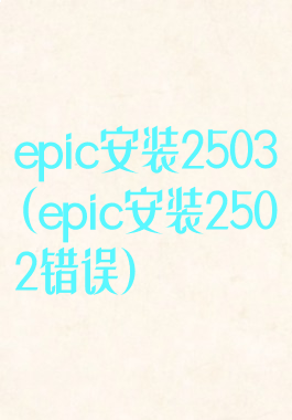 epic安装2503(epic安装2502错误)