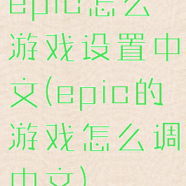 epic怎么游戏设置中文(epic的游戏怎么调中文)