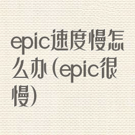 epic速度慢怎么办(epic很慢)