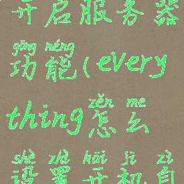 everything开启服务器功能(everything怎么设置开机自启)