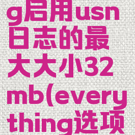 everything启用usn日志的最大大小32mb(everything选项设置)