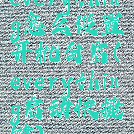 everything怎么设置开机自启(everything启动快捷键)