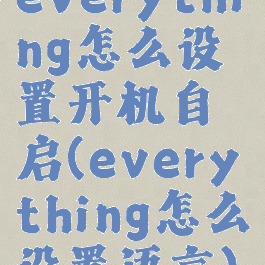 everything怎么设置开机自启(everything怎么设置语言)