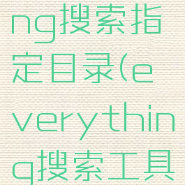 everything搜索指定目录(everything搜索工具设置)