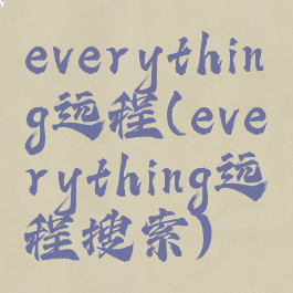everything远程(everything远程搜索)