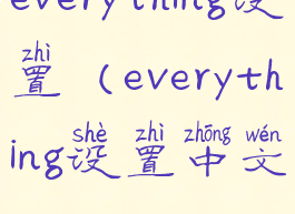 everything设置(everything设置中文)