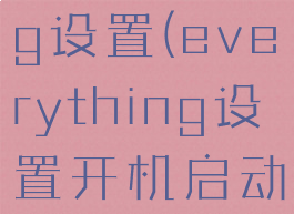everything设置(everything设置开机启动)
