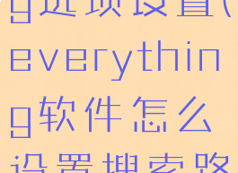 everything选项设置(everything软件怎么设置搜索路径)