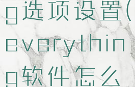 everything选项设置(everything软件怎么设置)