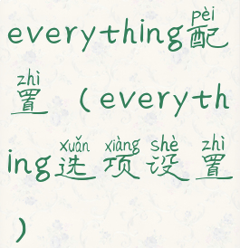 everything配置(everything选项设置)