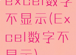 excel数字不显示(Excel数字不显示)