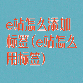 e站怎么添加标签(e站怎么用标签)