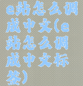 e站怎么调成中文(e站怎么调成中文标签)