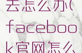 facebook官网进不去怎么办(facebook官网怎么打不开怎么办)