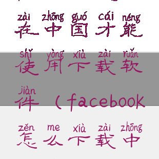 facebook怎么在中国才能使用下载软件(facebook怎么下载中文版)