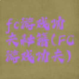 fc游戏功夫秘籍(FC游戏功夫)