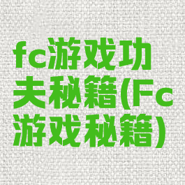 fc游戏功夫秘籍(Fc游戏秘籍)