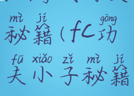 fc游戏功夫秘籍(fc功夫小子秘籍)