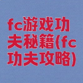 fc游戏功夫秘籍(fc功夫攻略)