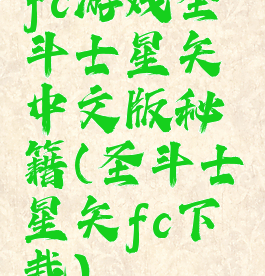fc游戏圣斗士星矢中文版秘籍(圣斗士星矢fc下载)