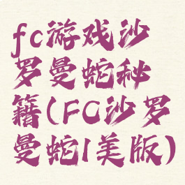 fc游戏沙罗曼蛇秘籍(FC沙罗曼蛇1美版)