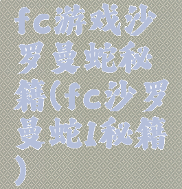 fc游戏沙罗曼蛇秘籍(fc沙罗曼蛇1秘籍)
