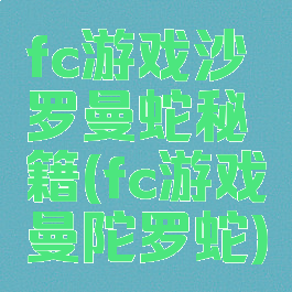 fc游戏沙罗曼蛇秘籍(fc游戏曼陀罗蛇)