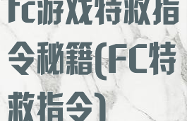 fc游戏特救指令秘籍(FC特救指令)