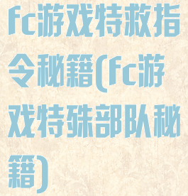 fc游戏特救指令秘籍(fc游戏特殊部队秘籍)