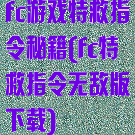 fc游戏特救指令秘籍(fc特救指令无敌版下载)