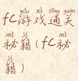 fc游戏通关秘籍(fc秘籍)