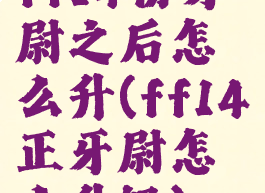 ff14协牙尉之后怎么升(ff14正牙尉怎么升级)