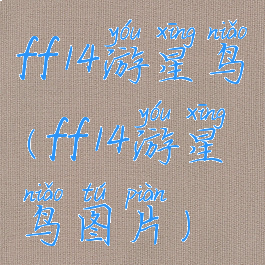 ff14游星鸟(ff14游星鸟图片)