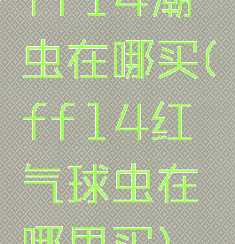 ff14潮虫在哪买(ff14红气球虫在哪里买)