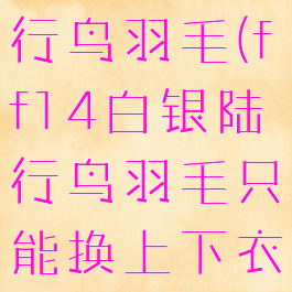 ff14白银陆行鸟羽毛(ff14白银陆行鸟羽毛只能换上下衣么)