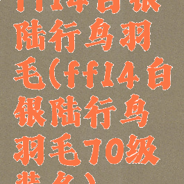 ff14白银陆行鸟羽毛(ff14白银陆行鸟羽毛70级装备)