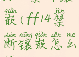 ff14禁断镶嵌(ff14禁断镶嵌怎么开)