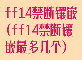 ff14禁断镶嵌(ff14禁断镶嵌最多几个)