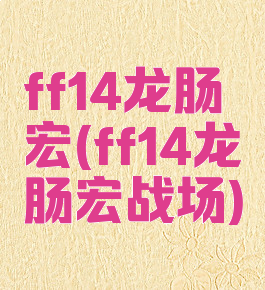 ff14龙肠宏(ff14龙肠宏战场)