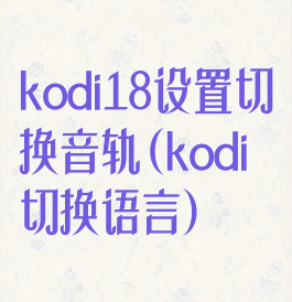 kodi18设置切换音轨(kodi切换语言)
