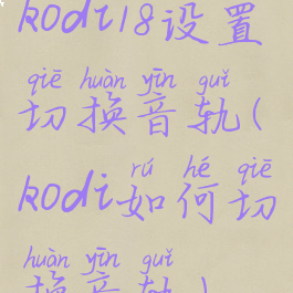 kodi18设置切换音轨(kodi如何切换音轨)