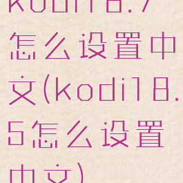 kodi18.7怎么设置中文(kodi18.5怎么设置中文)
