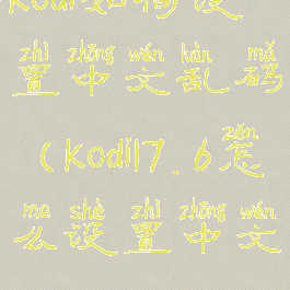 kodi如何设置中文乱码(kodi17.6怎么设置中文)