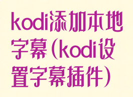 kodi添加本地字幕(kodi设置字幕插件)
