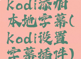 kodi添加本地字幕(kodi设置字幕插件)