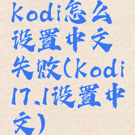 kodi怎么设置中文失败(kodi17.1设置中文)
